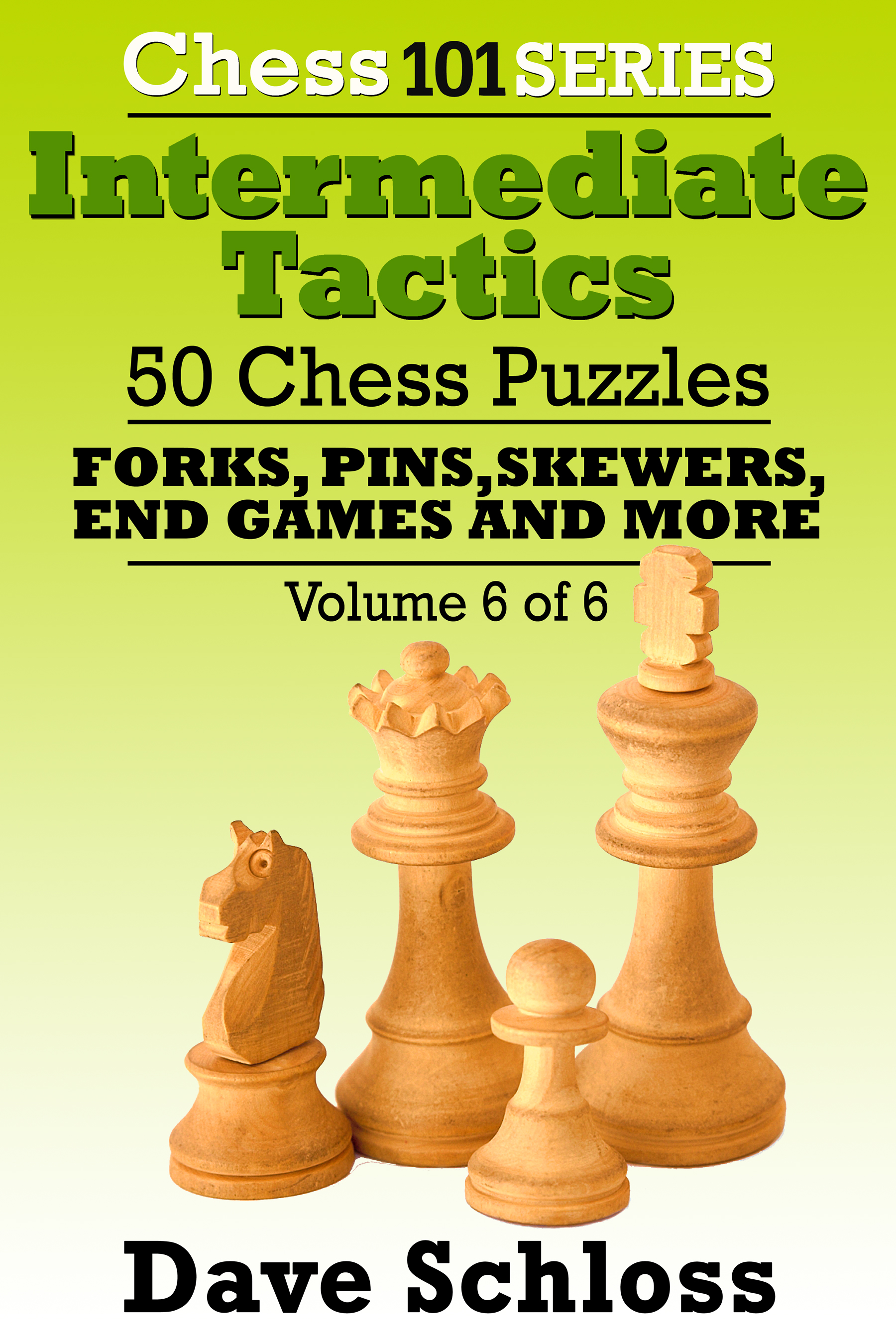 Chess 101 Intermediate Tactics Series, Volume 6 - All Tactics